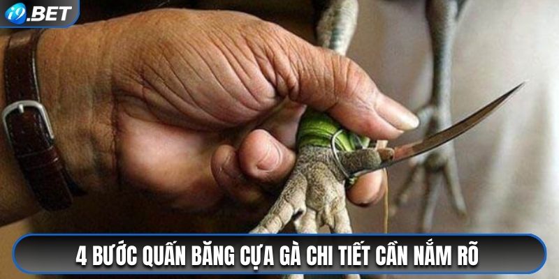 4 bước quấn băng cựa gà chi tiết cần nắm rõ