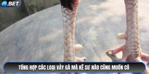 các loại vảy gà