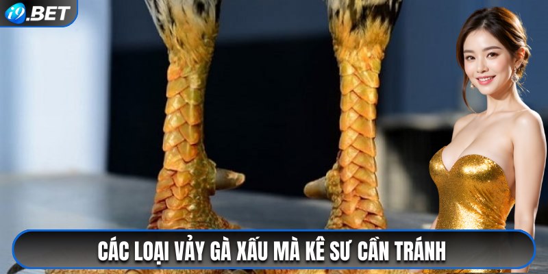 Các loại vảy gà xấu mà kê sư cần tránh