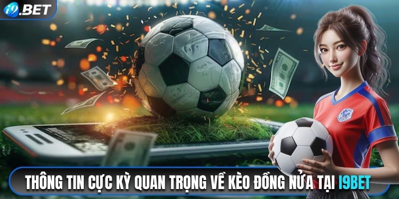 Các thông tin cực kỳ quan trọng về kèo đồng nửa tại i9bet