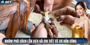 cách lên cựa gà