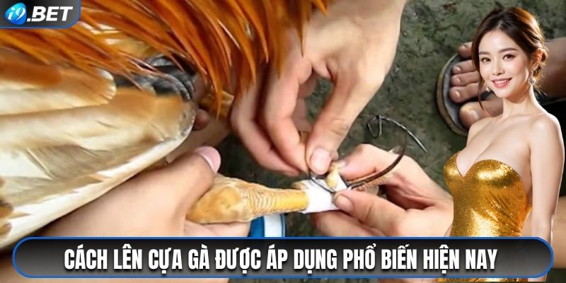 Cách lên cựa gà được áp dụng phổ biến hiện nay