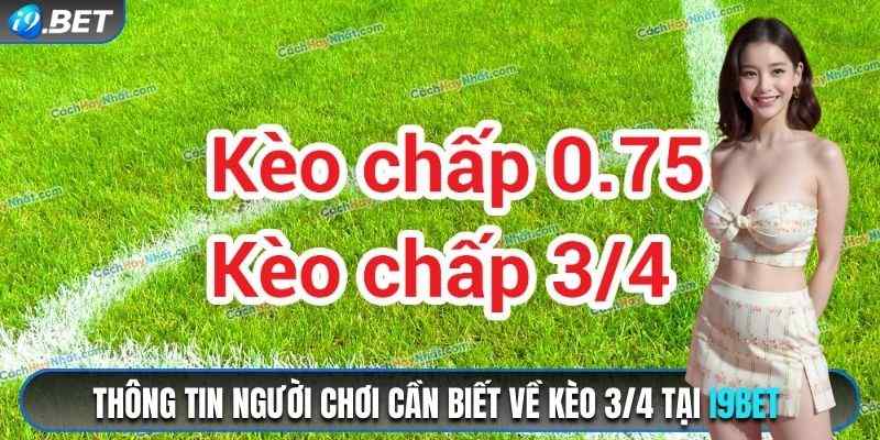 Thông tin người chơi cần biết về kèo 3/4 tại i9bet